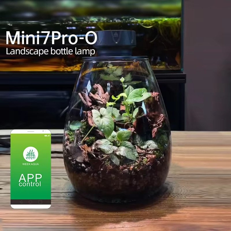 Planted Tank - Lampu Dekorasi Meja Mikrolanskap COB, Lampu