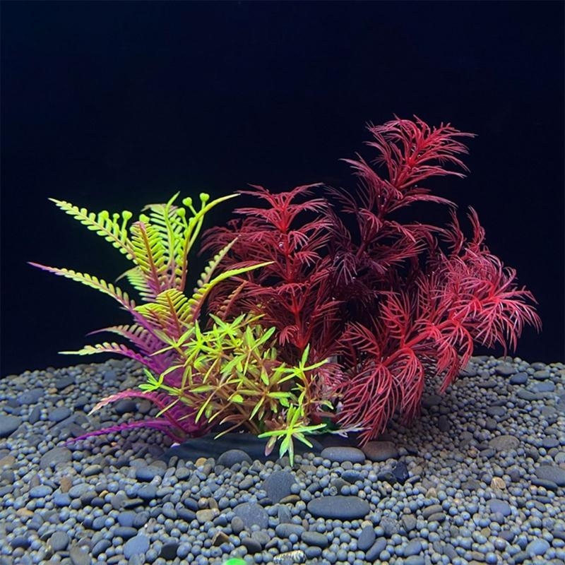 Live Plant Aquarium - Tanaman Dekorasi Akuarium Buatan Dekorasi Ikan