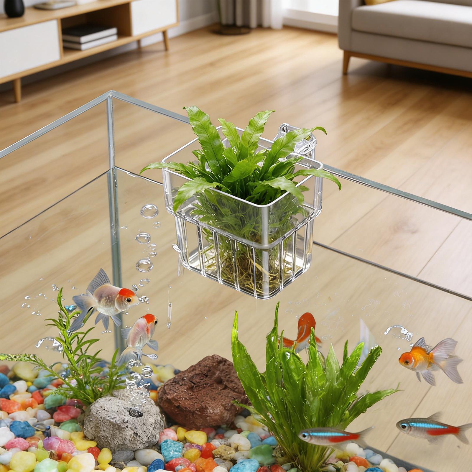 Aquarium Plants Live - Pot Tanaman Akuarium Transparan yang Dapat