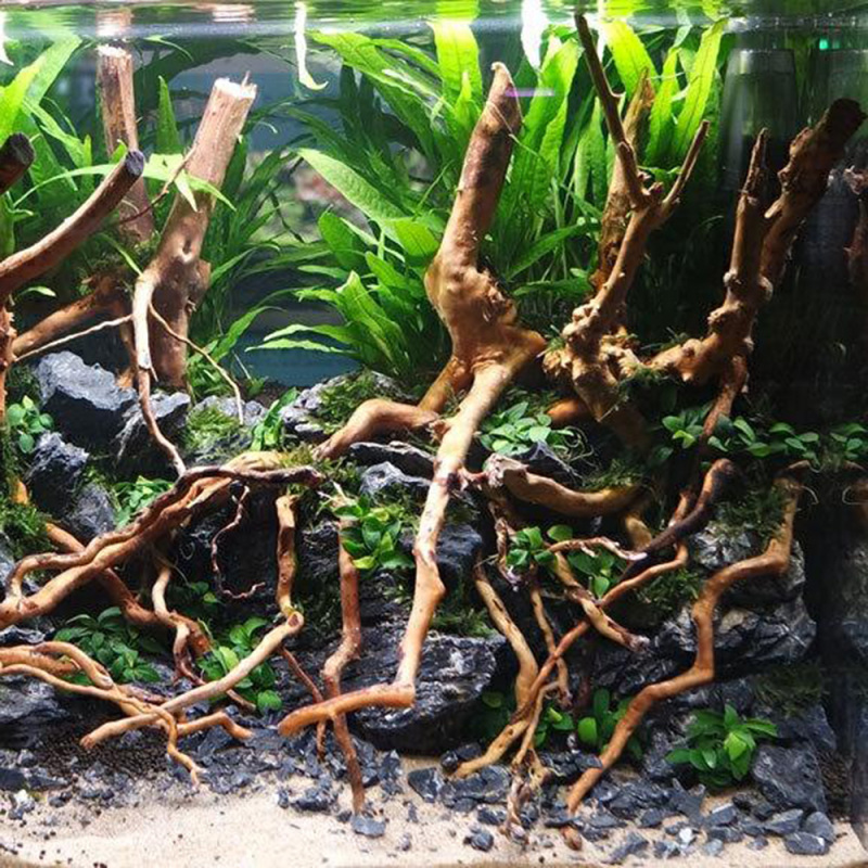 Batang Pohon Kayu Apung Alami  - Aquarium Driftwood ulasan dan harga