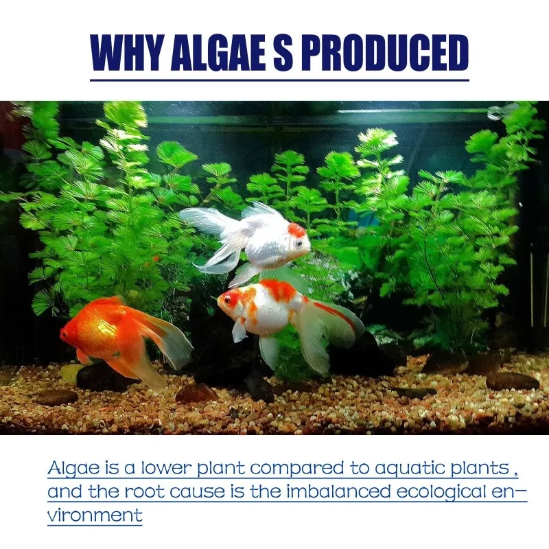 50g Algaecide Efisiensi Tinggi - Aquarium Fertilizer ulasan dan harga