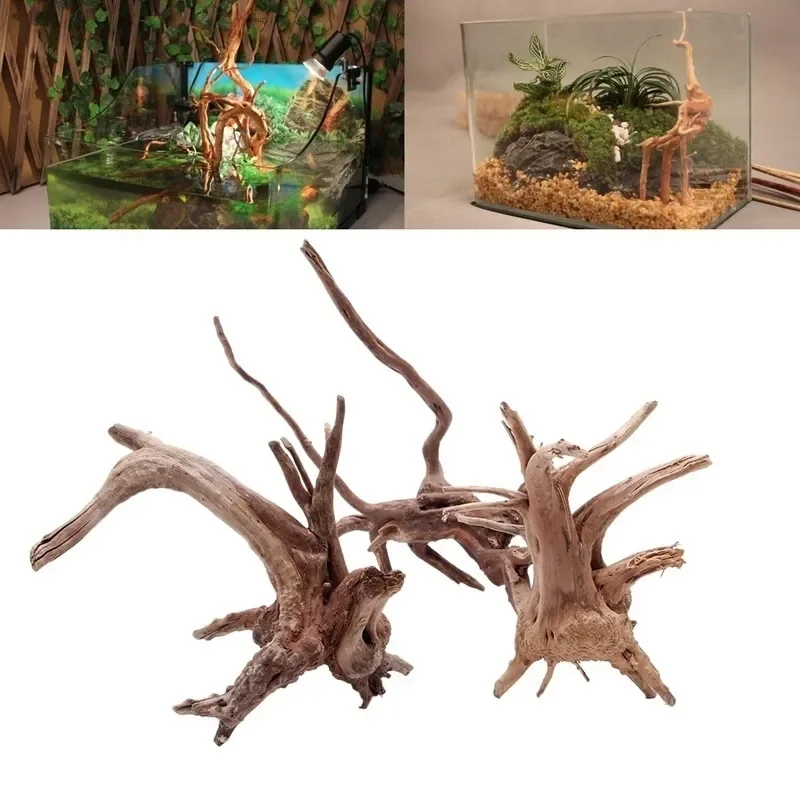 Pohon alami kayu apung akuariu - Aquarium Plants Live ulasan dan harga