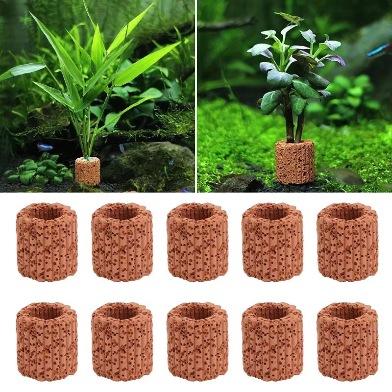Cincin Tetap Tanaman Air untuk - Aquarium Plants Live ulasan dan harga