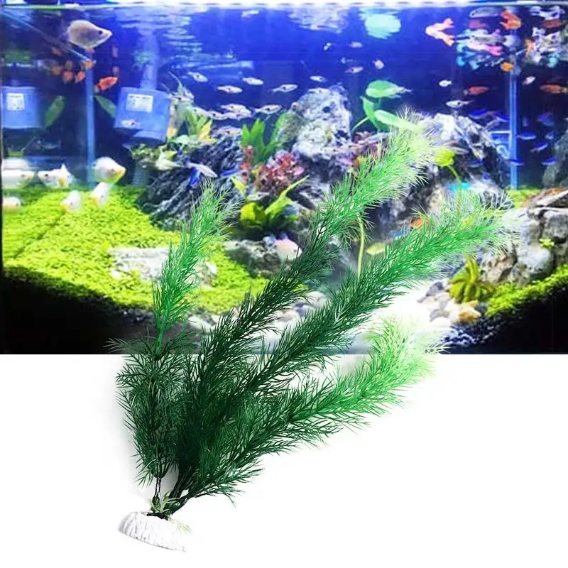 Tanaman Dekorasi Akuarium Buat - Aquarium Plants Live ulasan dan harga