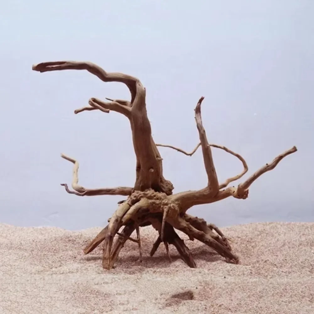 Dekorasi Akuarium Kayu Apung A - Aquarium Driftwood ulasan dan harga