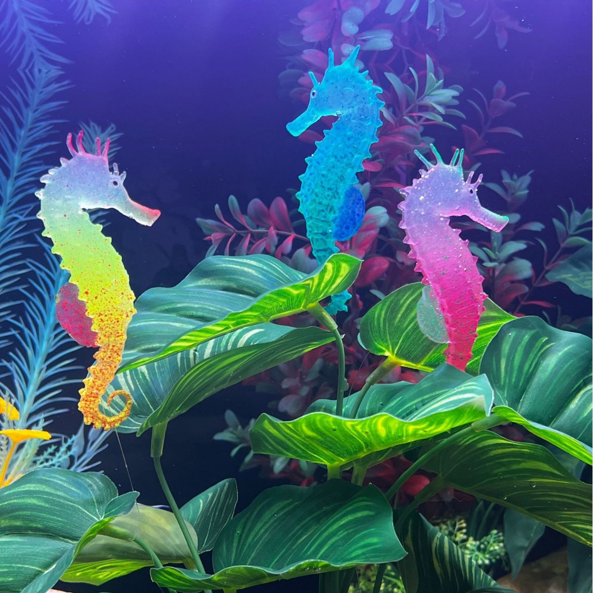 Dekorasi Akuarium Kuda Laut Be - Aquarium Plant Substrate ulasan dan harga