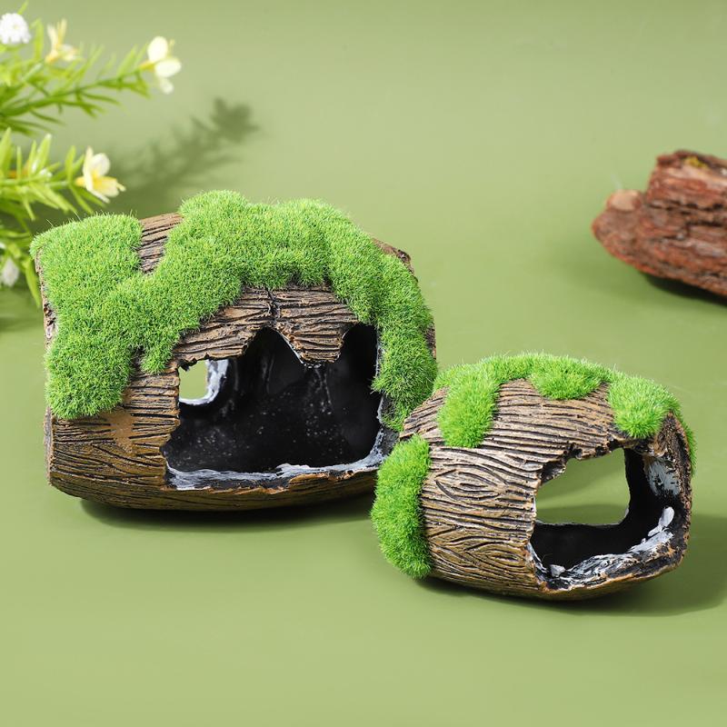 Akuarium Tersembunyi, Lanskap  - Aquarium Plants Live ulasan dan harga