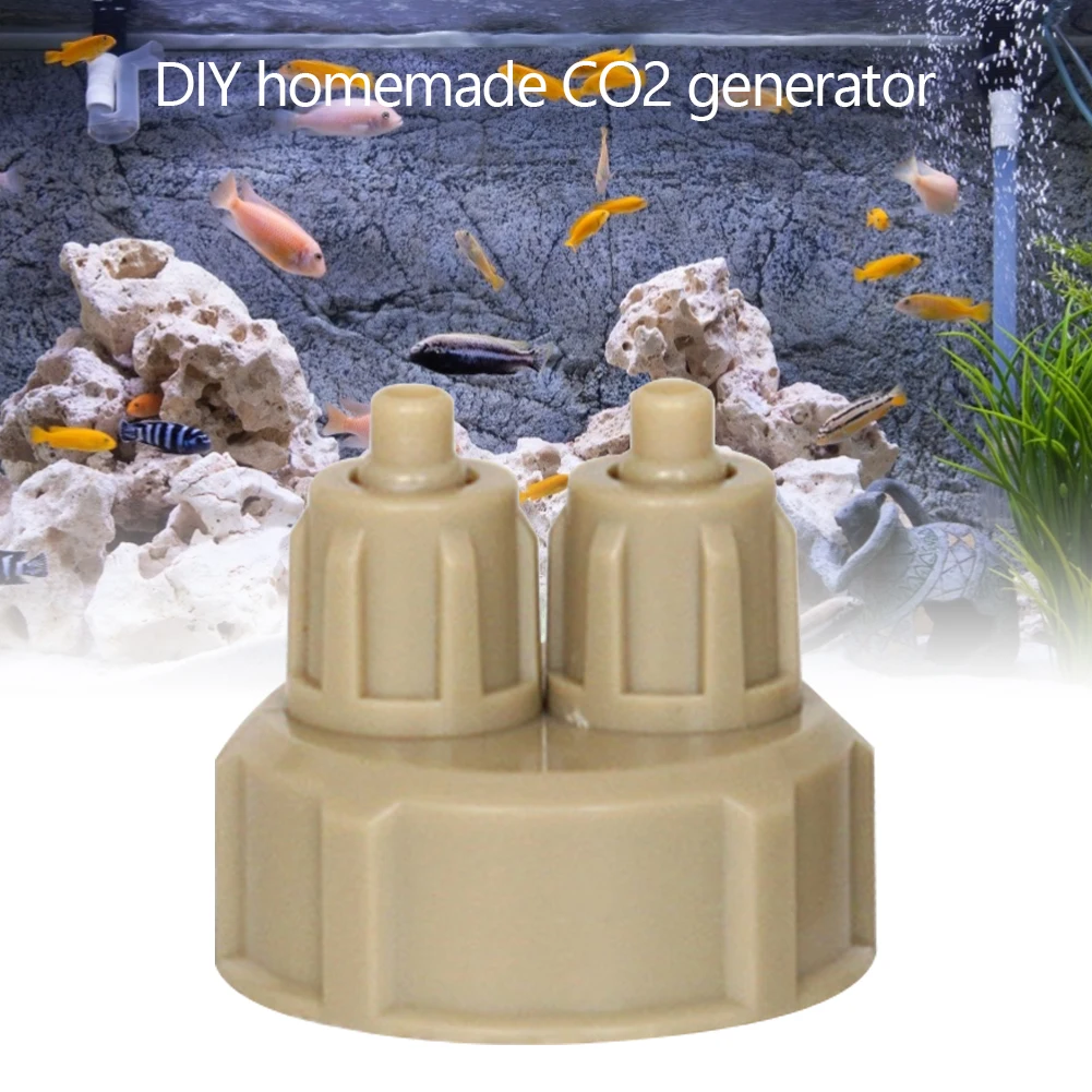 5 buah sistem akuarium CO2 Gen - Aquarium Plants Live ulasan dan harga