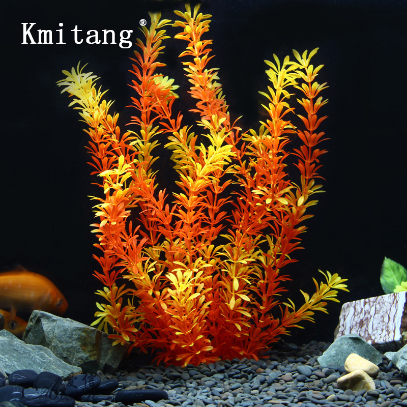 Tanaman Tropis 100cm, Rumput A - Aquarium Plant Substrate ulasan dan harga