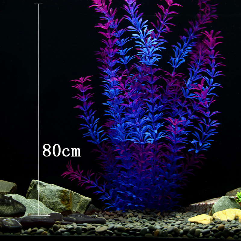Tanaman Tropis 100cm, Rumput A - Aquarium Plant Substrate ulasan dan harga