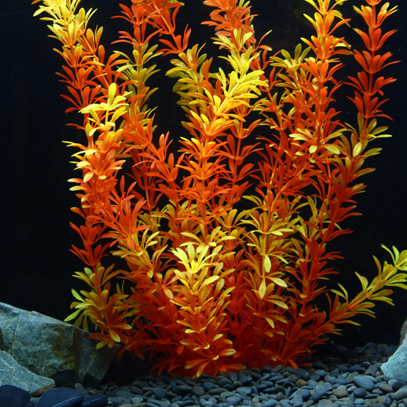 Tanaman Tropis 100cm, Rumput A - Aquarium Plant Substrate ulasan dan harga