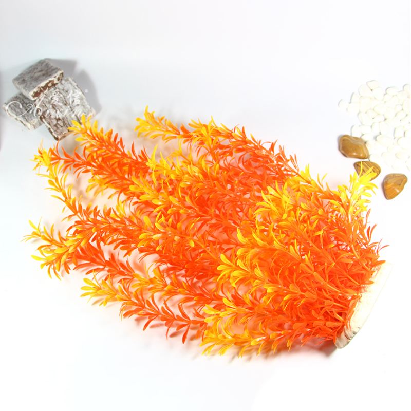Tanaman Tropis 100cm, Rumput A - Aquarium Plant Substrate ulasan dan harga