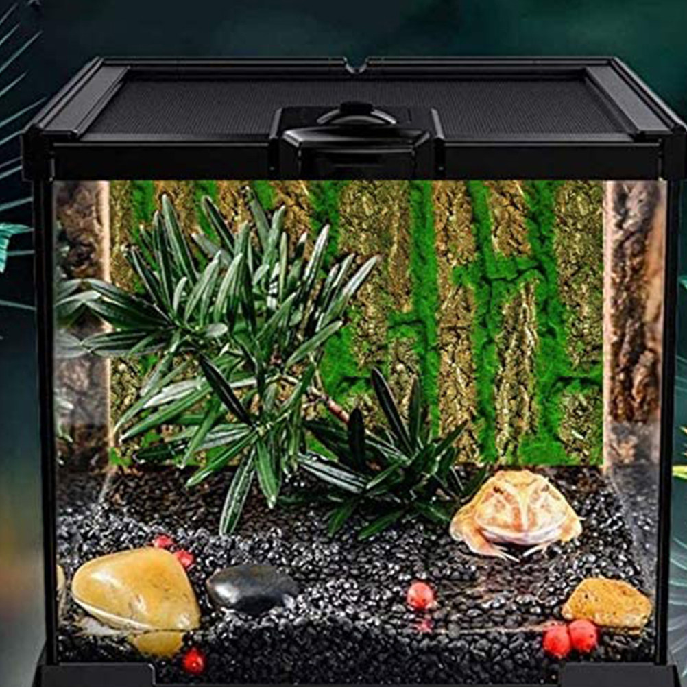Papan Latar Belakang Akuarium  - Aquarium Moss ulasan dan harga