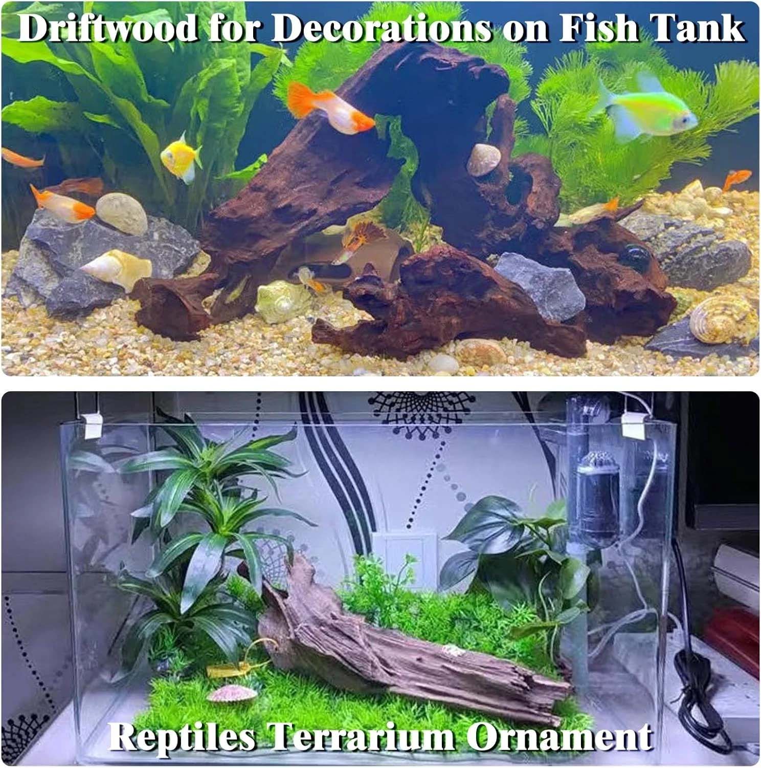 15-20CM 1Pc Dekorasi Terumbu K - Aquarium Plant Substrate ulasan dan harga