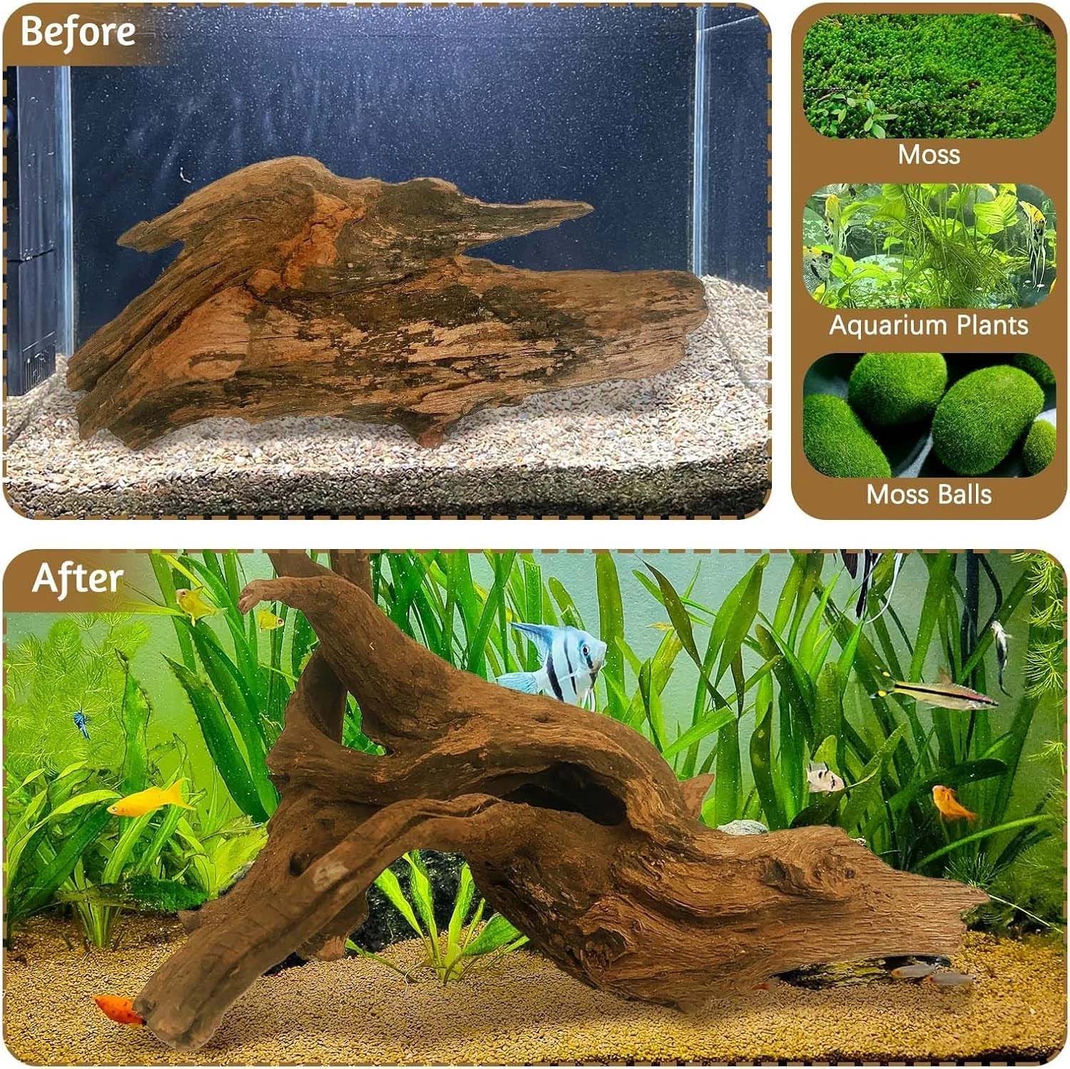 15-20CM 1Pc Dekorasi Terumbu K - Aquarium Plant Substrate ulasan dan harga