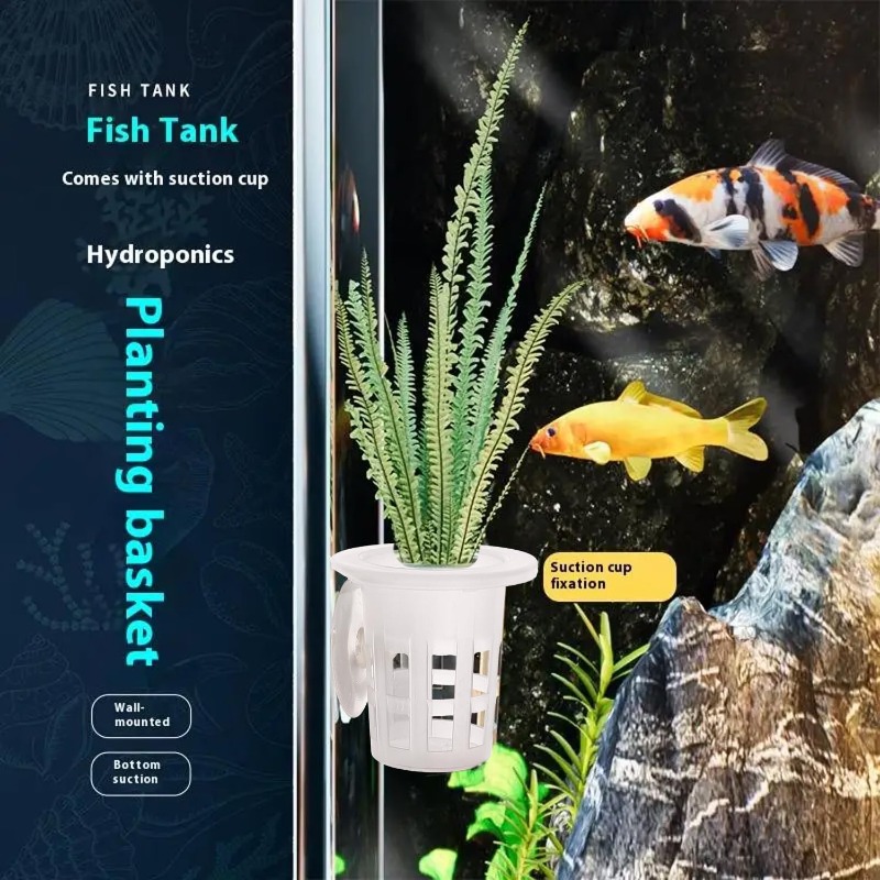 10/20/30Pcs Cangkir Tanam Akua - Aquarium Plants Live ulasan dan harga