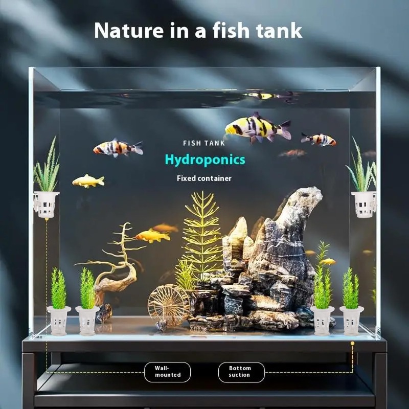 10/20/30Pcs Cangkir Tanam Akua - Aquarium Plants Live ulasan dan harga
