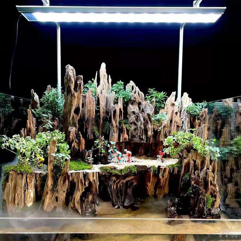 △   Dekorasi Akuarium Kayu Uda - Aquarium Driftwood ulasan dan harga