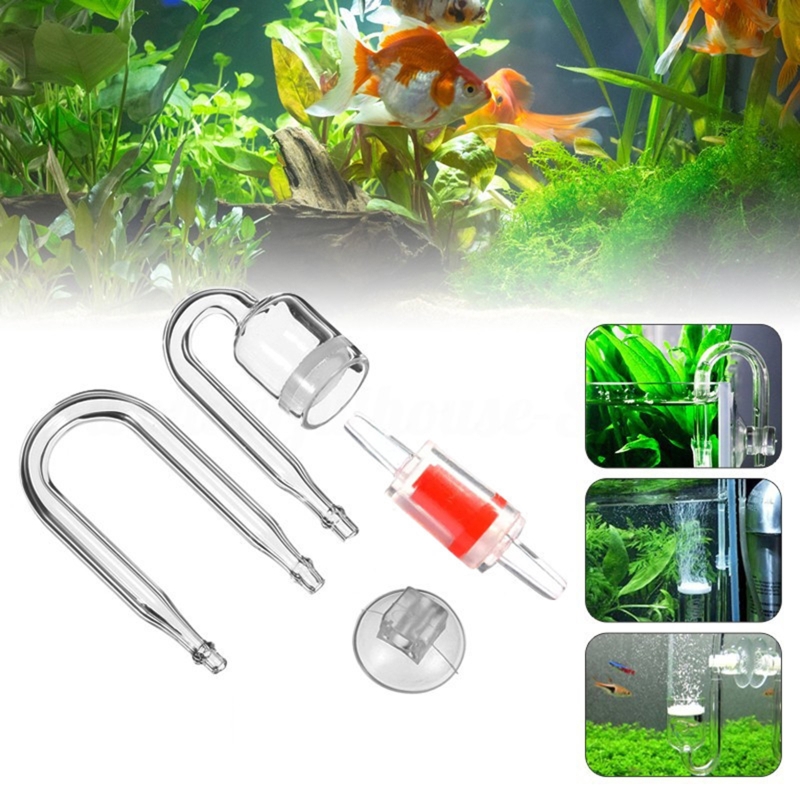 4 buah Set CO2 DIY Diffuser, u - Aquarium Plants Live ulasan dan harga