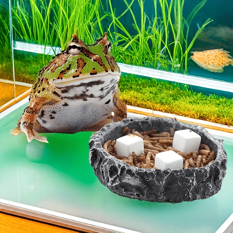 6 Buah Batu Kalsium untuk Akua - Aquarium Plants Live ulasan dan harga