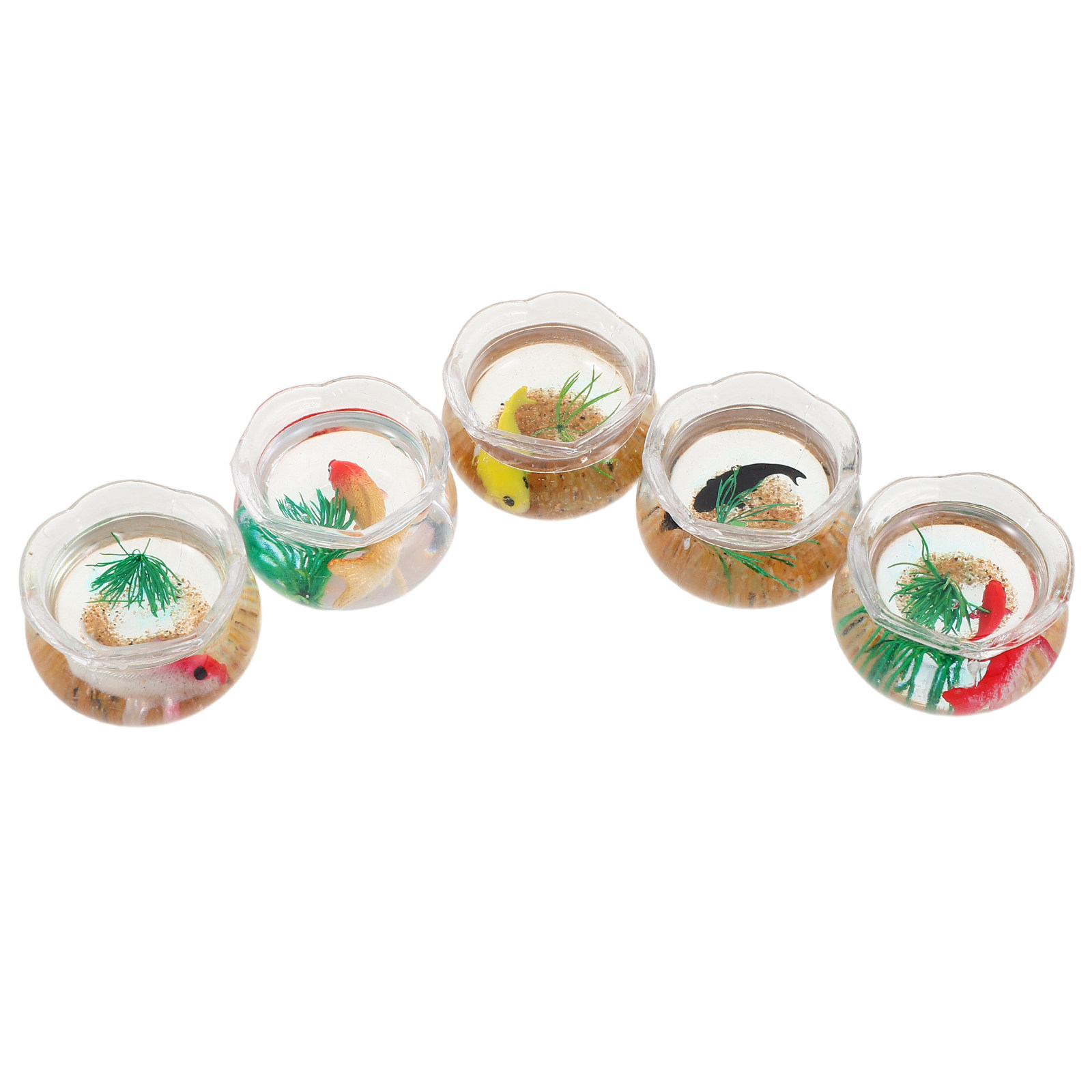 5 Buah Akuarium Mini Berbentuk - Planted Tank ulasan dan harga