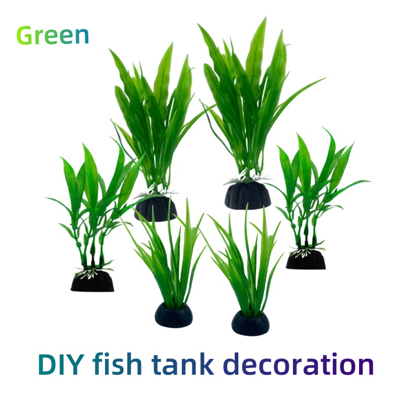 6 buah pak tanaman akuarium, d - Aquarium Plants Live ulasan dan harga