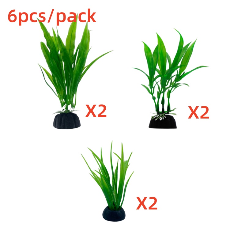 6 buah pak tanaman akuarium, d - Aquarium Plants Live ulasan dan harga